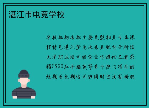 湛江市电竞学校